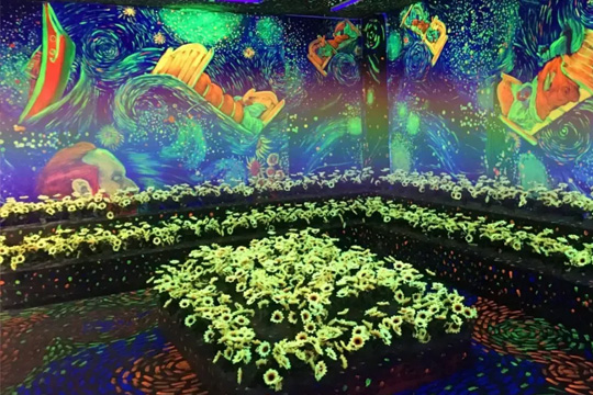 LED雙色顯示屏：科技與視覺(jué)藝術(shù)的融合