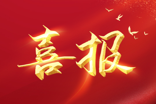 喜報(bào) | 悟空體育榮登2024粵港澳大灣區(qū)企業(yè)創(chuàng)新力榜單